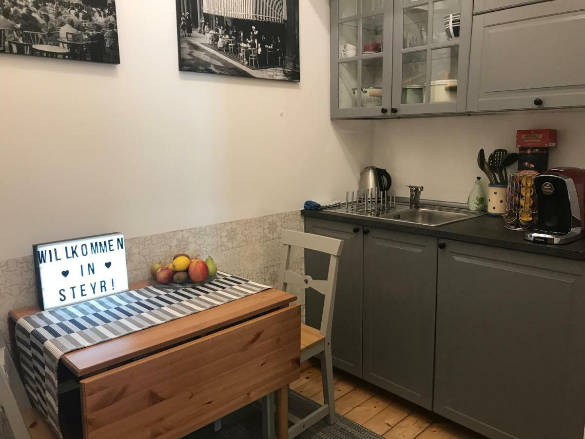Lovely Flat In A Lovely City Steyr Exterior photo