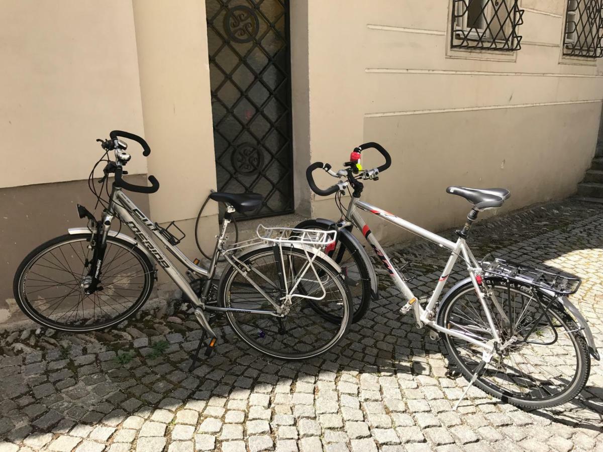 Lovely Flat In A Lovely City Steyr Exterior photo